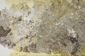 Plane Polarized, S55835