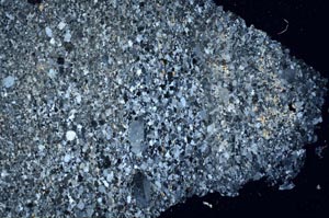 Cross Polarized, S55836