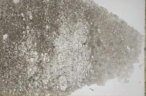 Plane Polarized, S55836