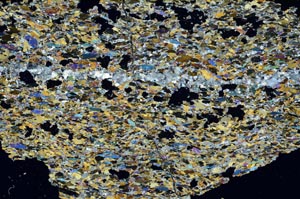 Cross Polarized, S55837