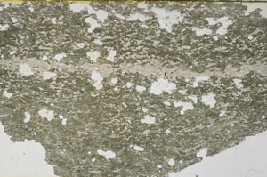 Plane Polarized, S55837