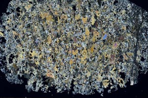 Cross Polarized, S55839