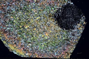 Cross Polarized, S55841