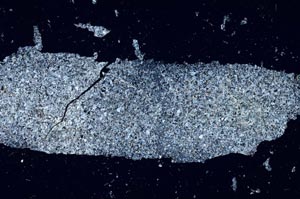 Cross Polarized, S55842