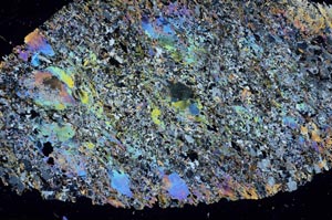 Cross Polarized, S55843