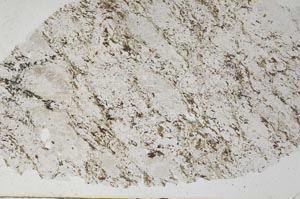 Plane Polarized, S55843