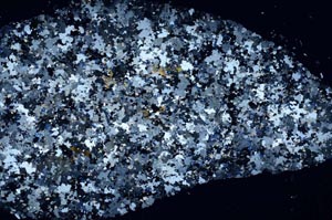 Cross Polarized, S55844