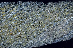 Cross Polarized, S55845