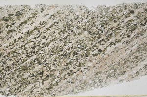 Plane Polarized, S55845