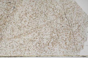 Plane Polarized, S55847