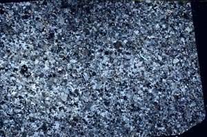 Cross Polarized, S55848