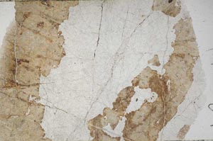 Plane Polarized, S55856