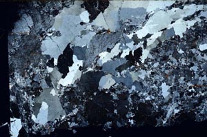 Cross Polarized, S55869