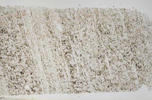 Plane Polarized, S55888