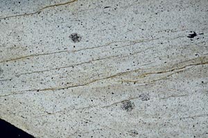 Cross Polarized, S55938