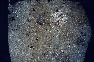 Cross Polarized, S56041