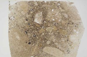 Plane Polarized, S56041