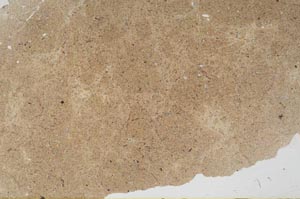 Plane Polarized, S56053