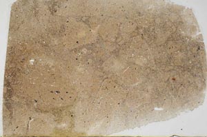 Plane Polarized, S56054