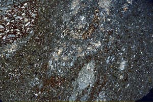 Cross Polarized, S56055