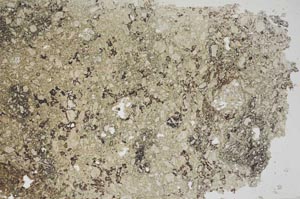 Plane Polarized, S56060