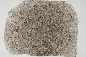 Plane Polarized, S56085