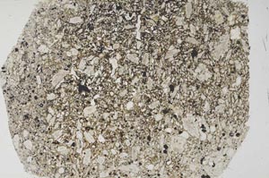 Plane Polarized, S56086
