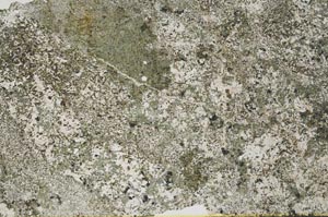 Plane Polarized, S56126