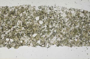 Plane Polarized, S56131