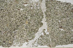 Plane Polarized, S56132