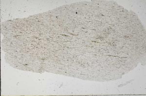 Plane Polarized, S56134