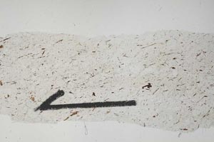 Plane Polarized, S56138