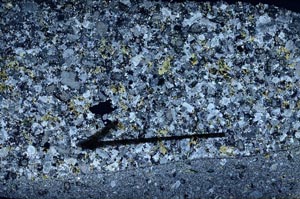 Cross Polarized, S56139