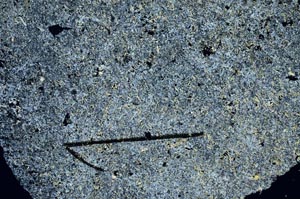 Cross Polarized, S56144