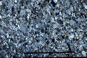 Cross Polarized, S56147