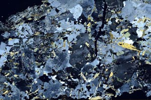 Cross Polarized, S56148