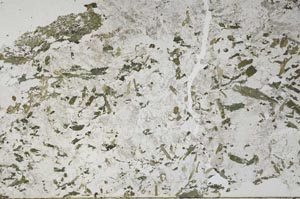 Plane Polarized, S56148