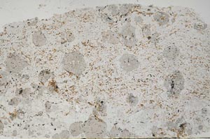 Plane Polarized, S56150