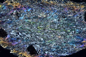 Cross Polarized, S56151