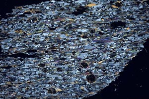 Cross Polarized, S56156