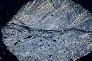 Cross Polarized, S56159