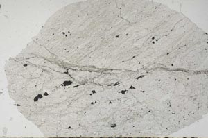 Plane Polarized, S56159