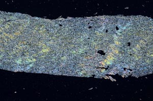 Cross Polarized, S56162