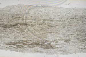 Plane Polarized, S56163