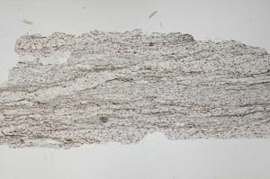 Plane Polarized, S56165