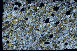 Cross Polarized, S56172