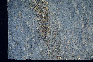 Cross Polarized, S56173/A