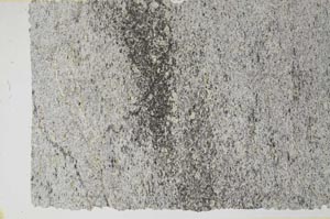 Plane Polarized, S56173/A