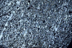 Cross Polarized, S56185