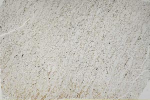 Plane Polarized, S56185